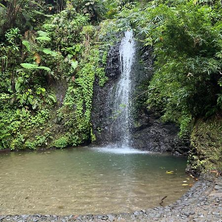 Le Ketmie Nature Et Decouverte Fond-Saint-Denis Buitenkant foto