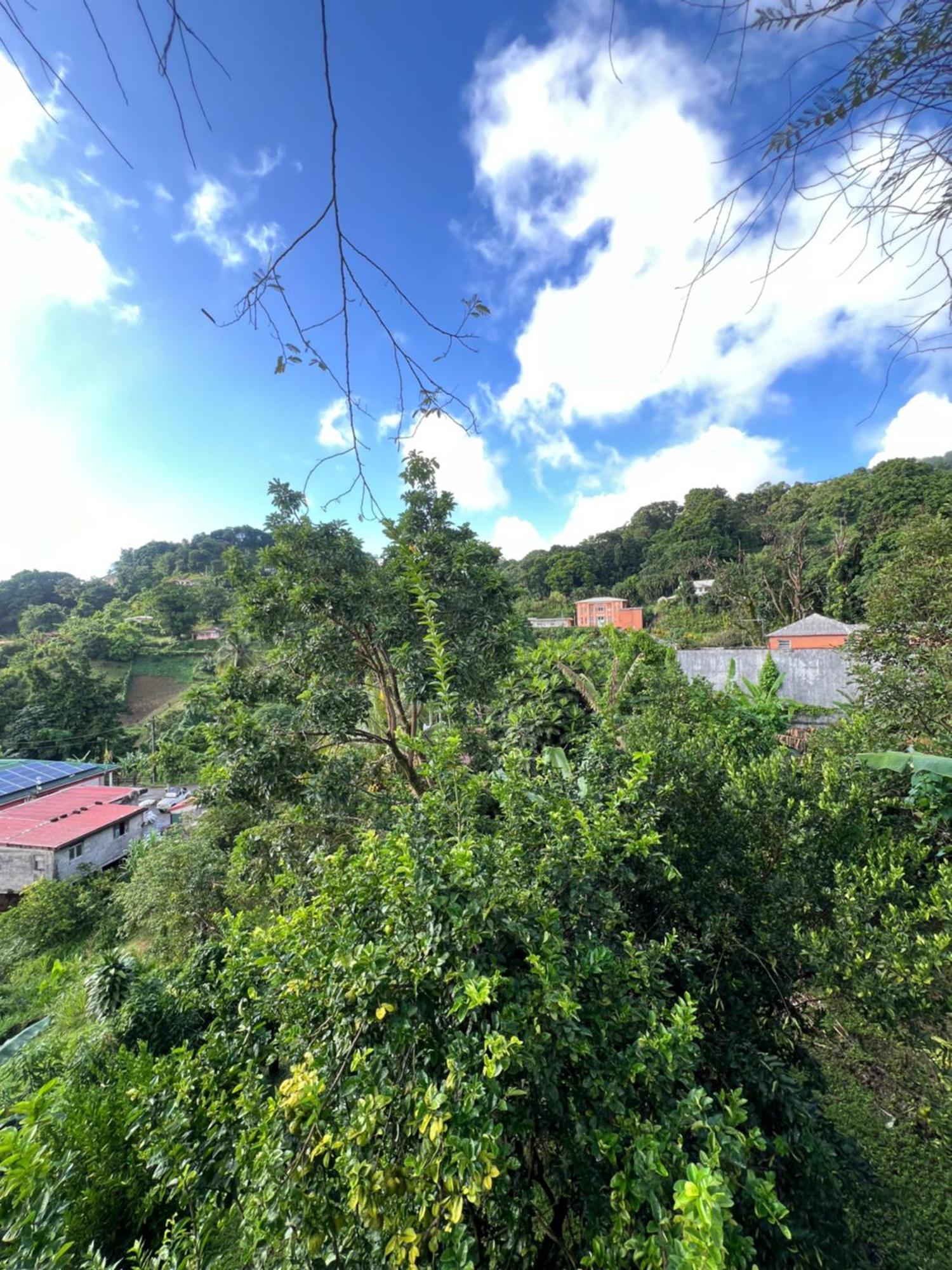 Le Ketmie Nature Et Decouverte Fond-Saint-Denis Buitenkant foto