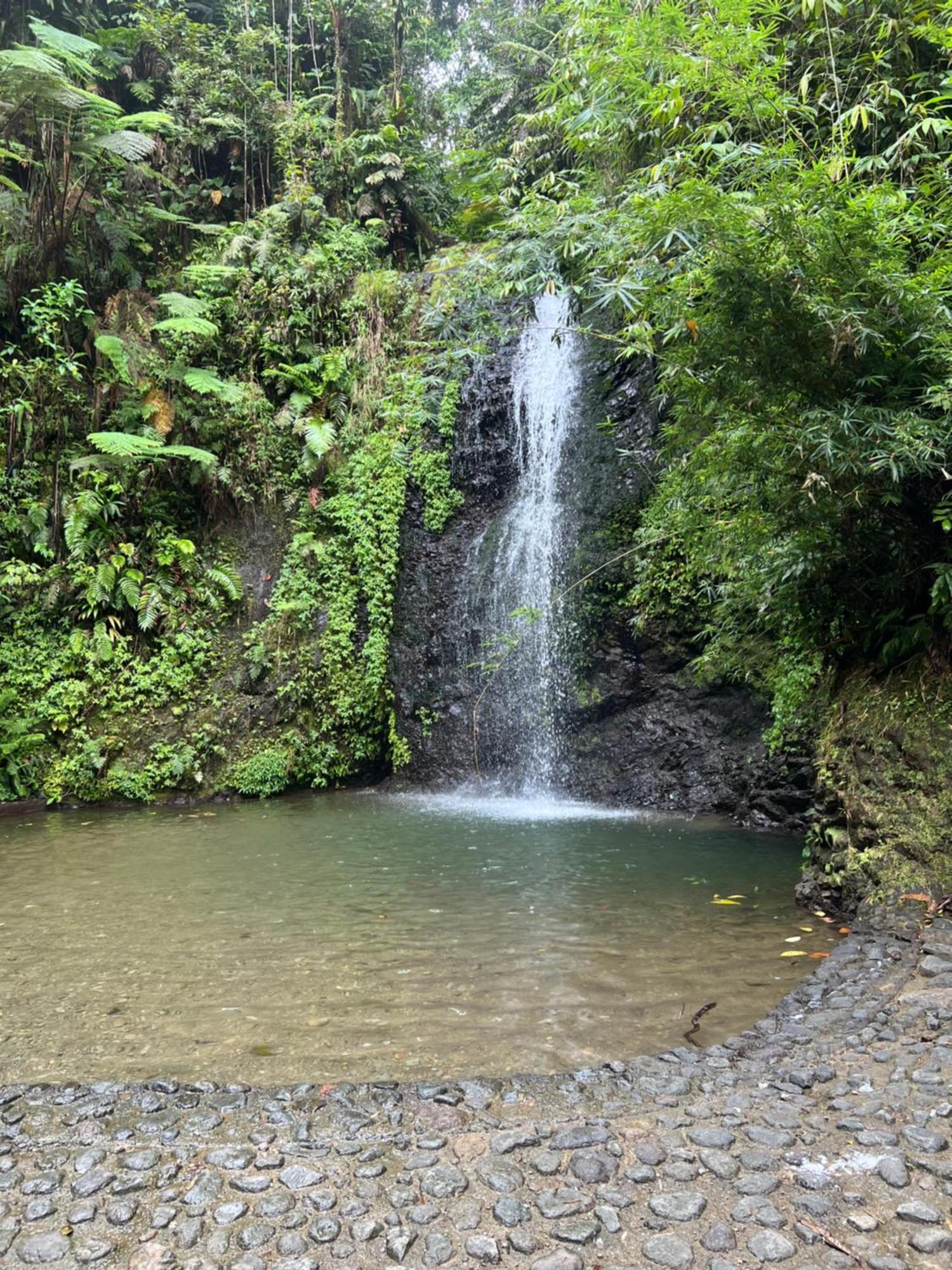 Le Ketmie Nature Et Decouverte Fond-Saint-Denis Buitenkant foto