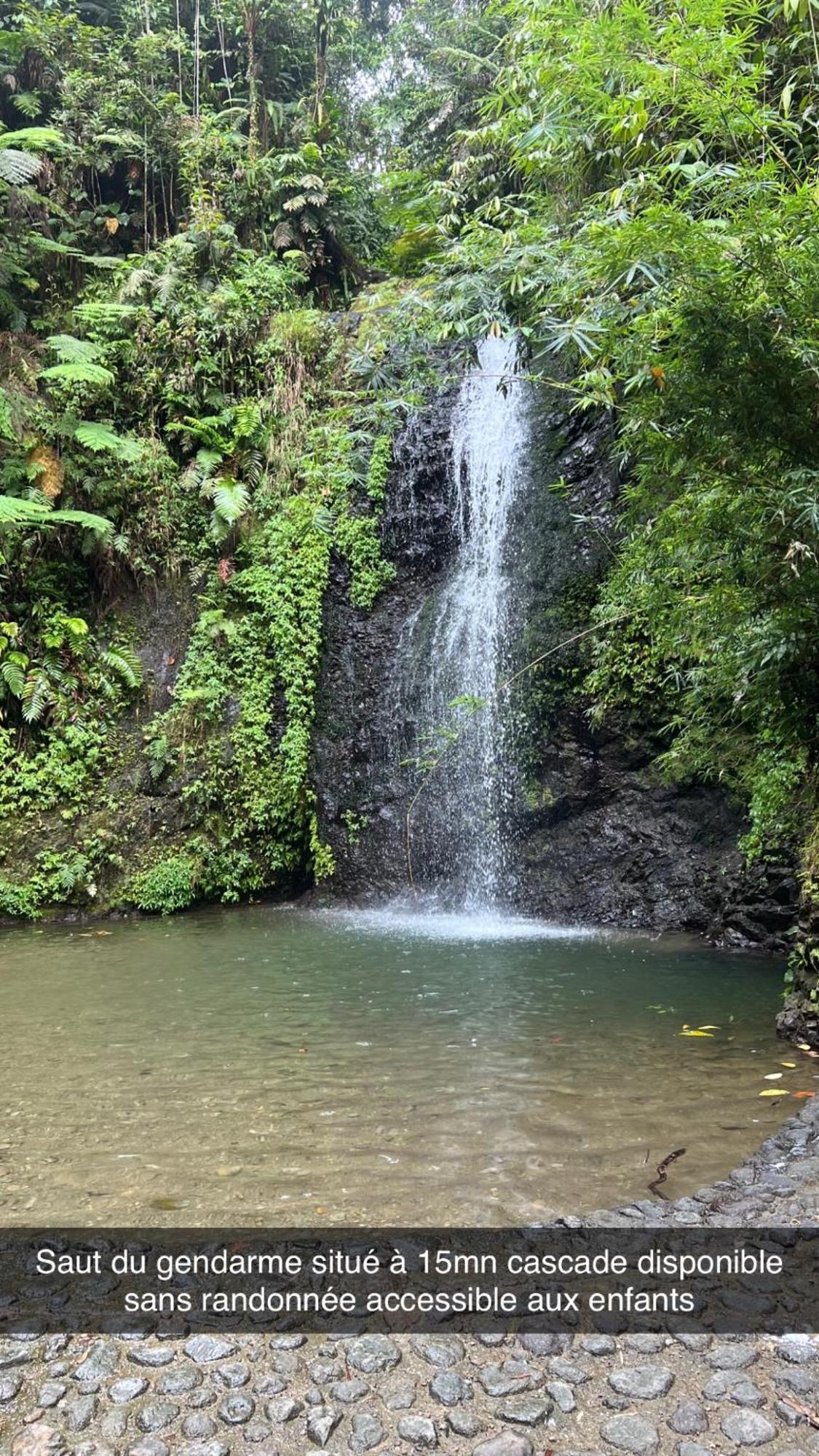 Le Ketmie Nature Et Decouverte Fond-Saint-Denis Buitenkant foto